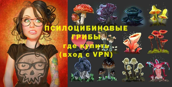 спиды Алексин