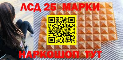 СК Тара