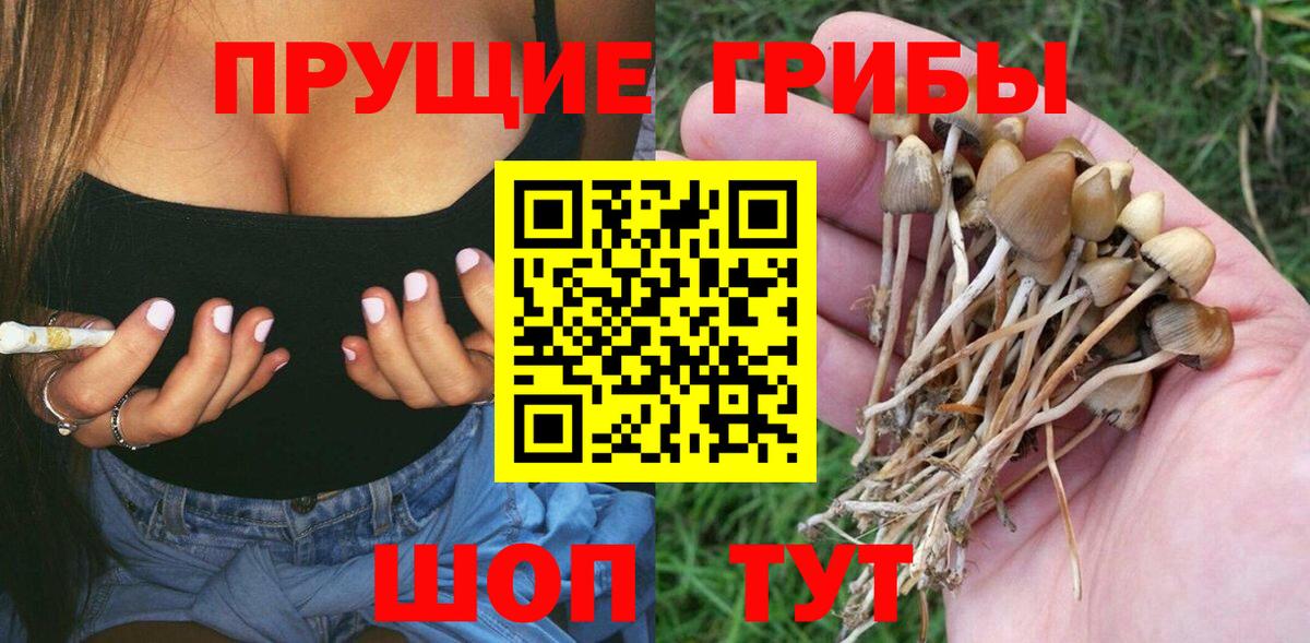 Слободской  Псилоцибиновые грибы Magic Shrooms  Вход с VPN  Псилоцибиновые грибы GOLDEN TEACHER 