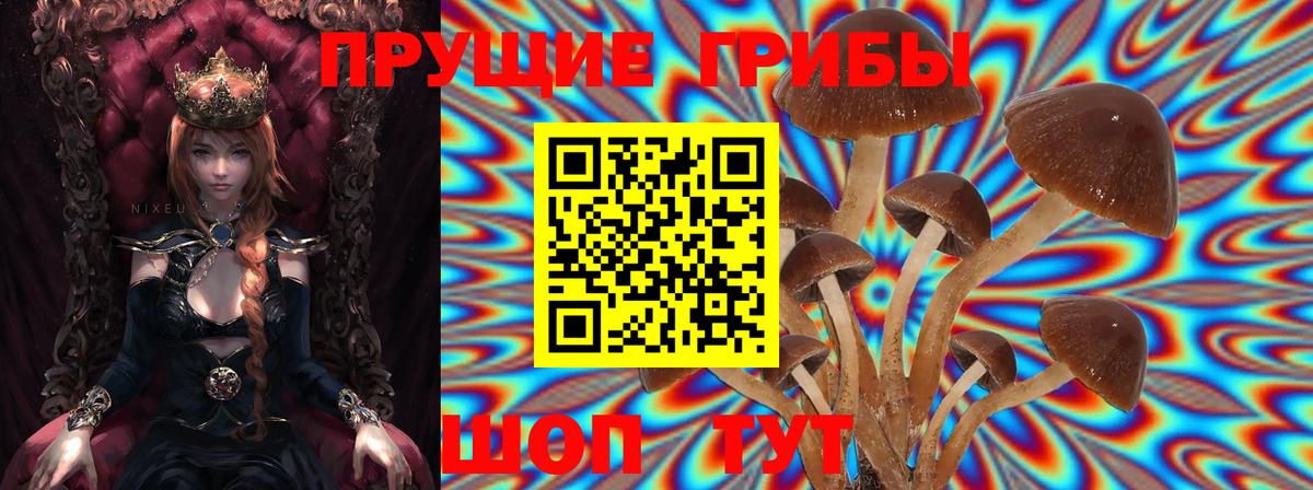 Галлюциногенные грибы Magic Shrooms Слободской